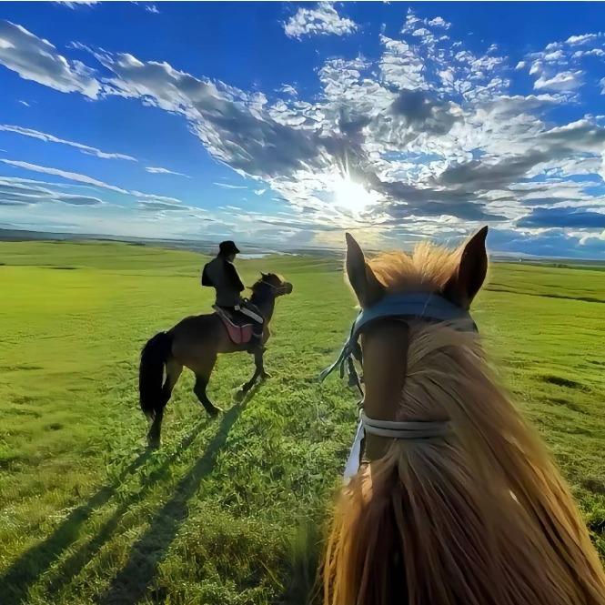 创贸集刻运营号