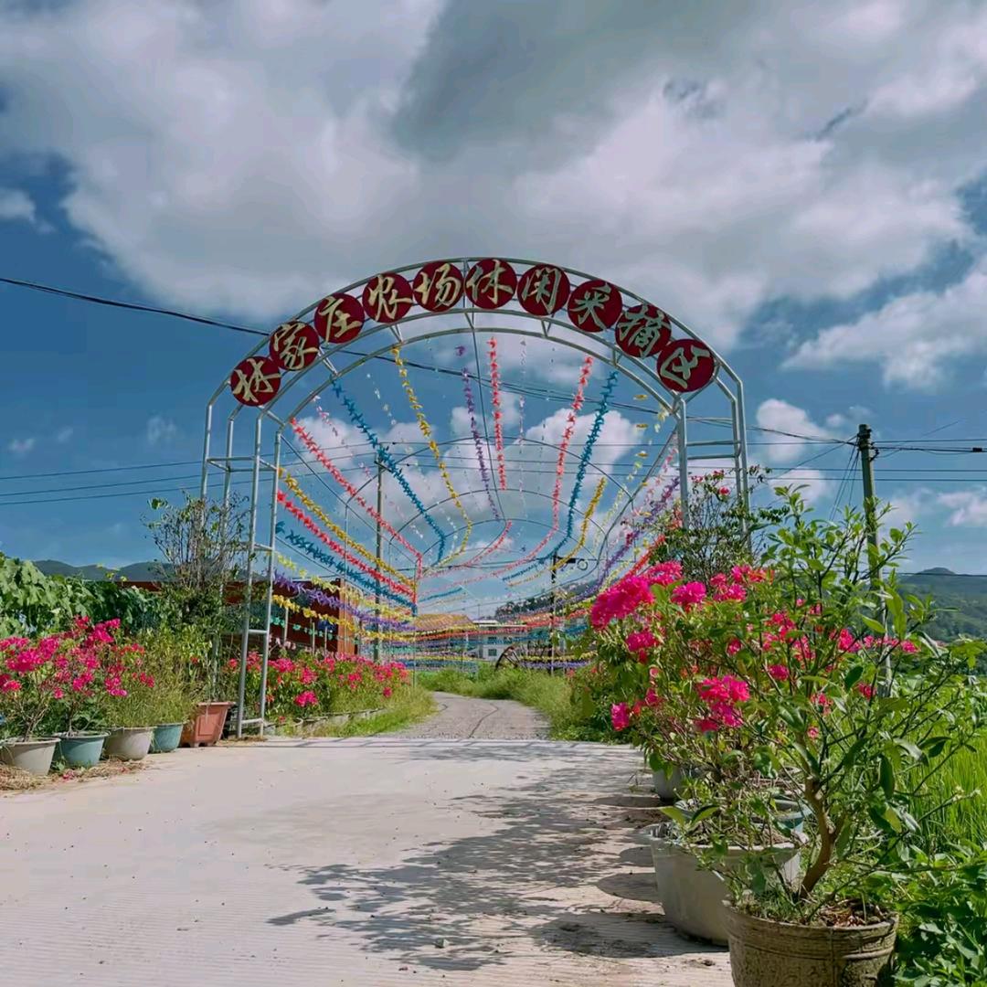 善友园素食（晓琳）