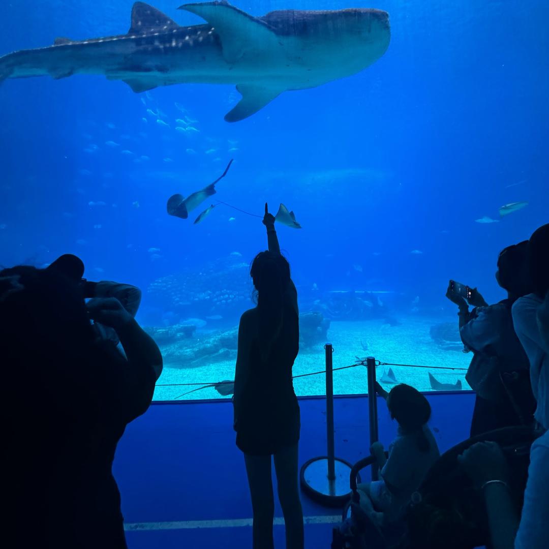 大冻梨和小土豆的三亚life