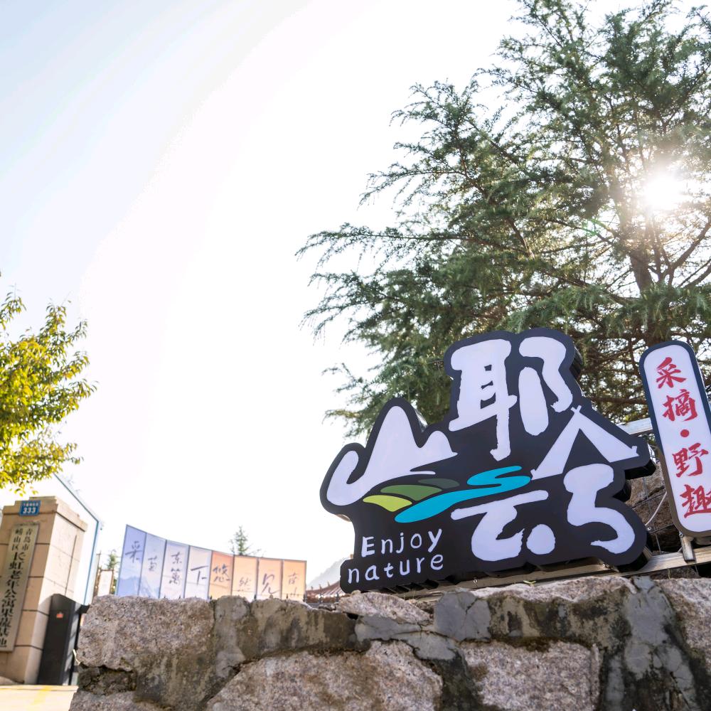山耶云兮