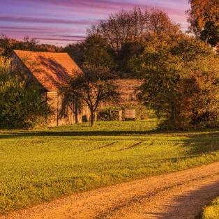 南阳难道百货直播号