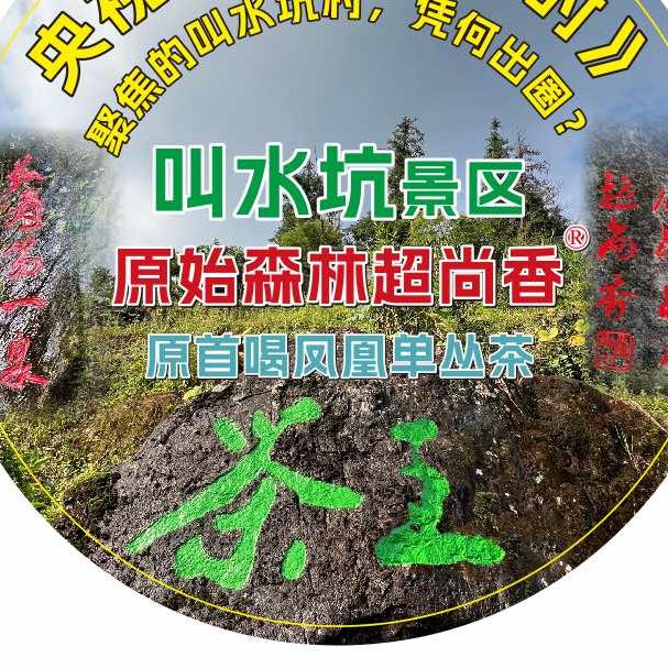 原始森林超尚香