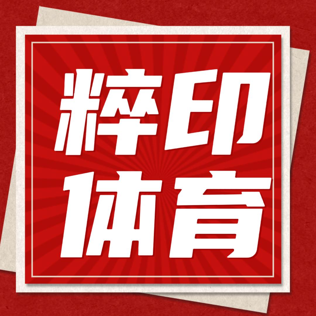 粹印体育·格斗运动表现