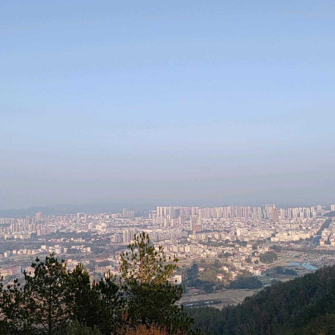 真萍科技发展官方号