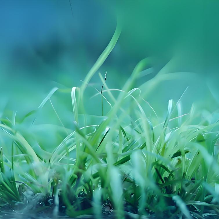 佳味食品原料批发部株洲市洋袤商贸有限公司