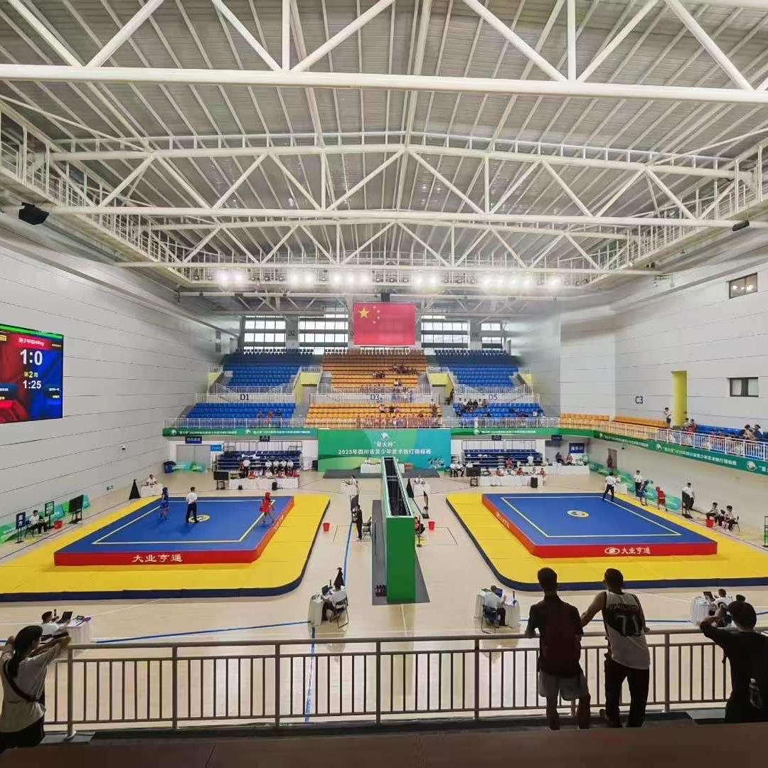 成都蓝鲸武术散打体育单招升学官方号