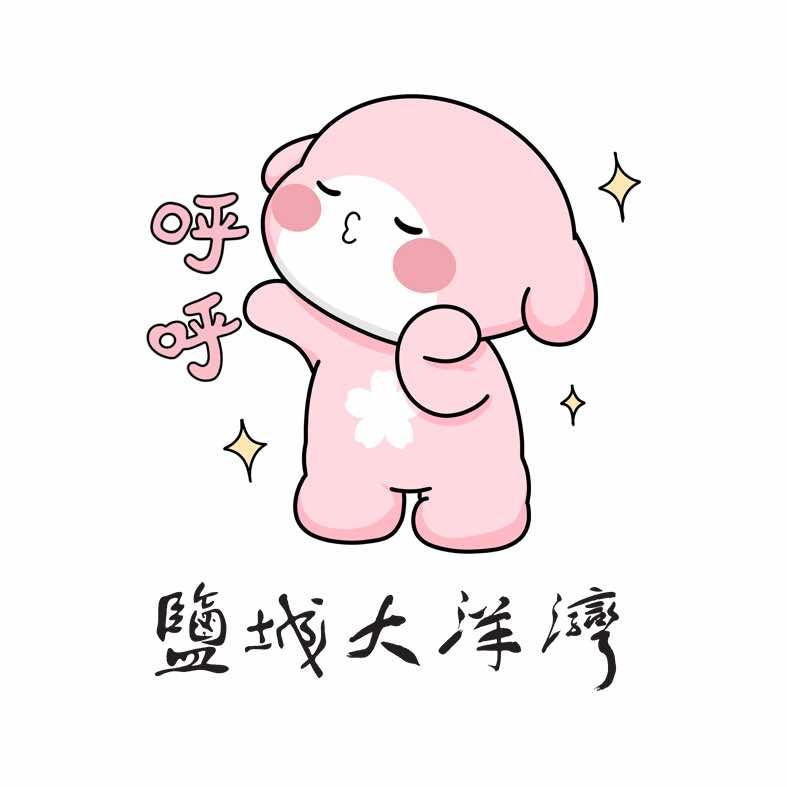 盐城大洋湾组团开发有限公司