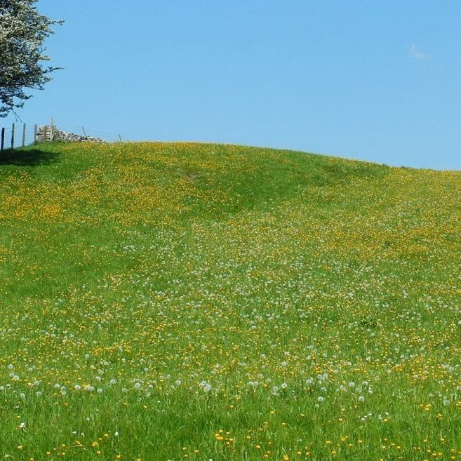 涂颜沐语3直播号