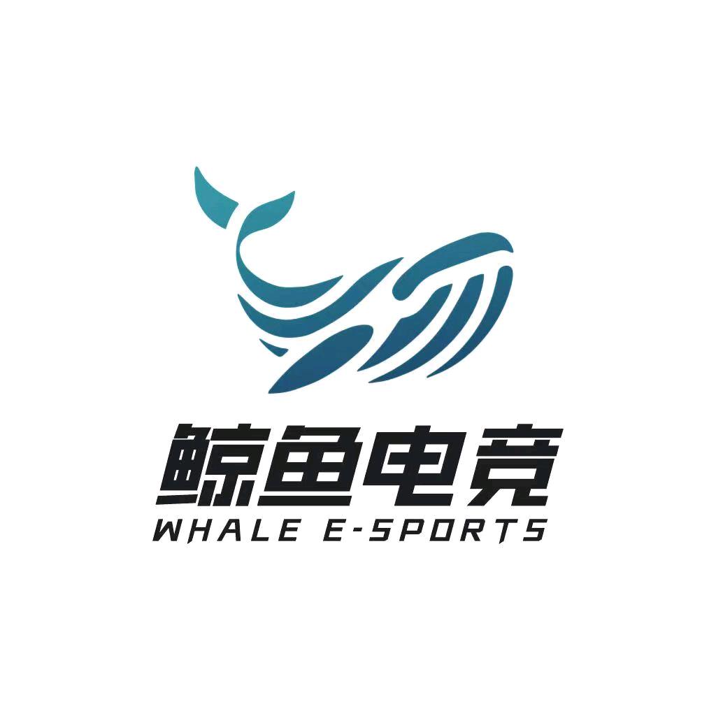 铜梁区鲸鱼电竞
