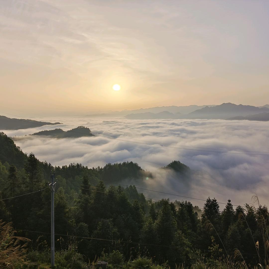 鹿鹿子子直播号