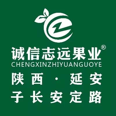 诚信志远果业（延安市子长安定路店）