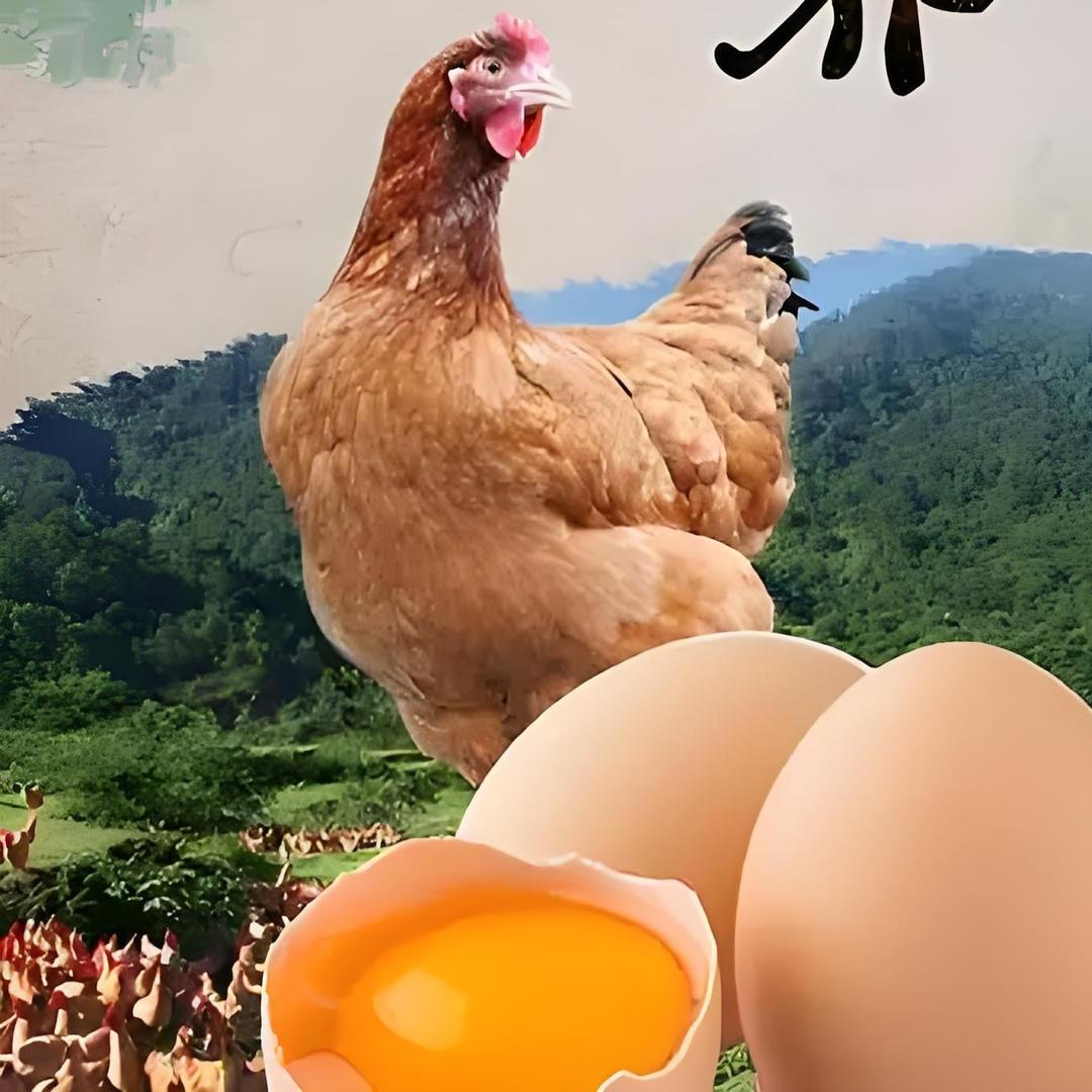 百家有品