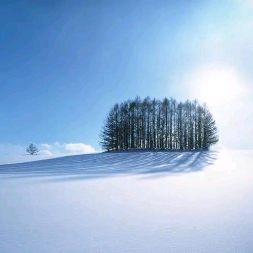 泌阳科琳百货（代寻代发）