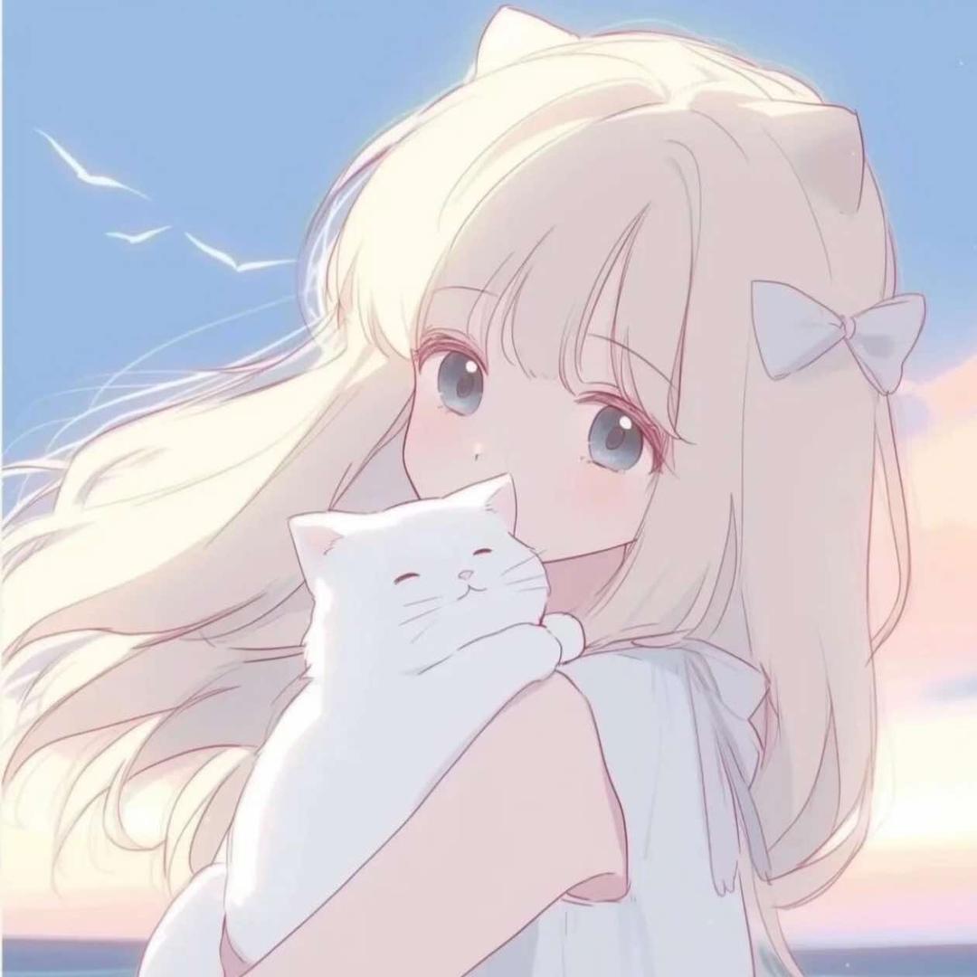 小猫派桌游
