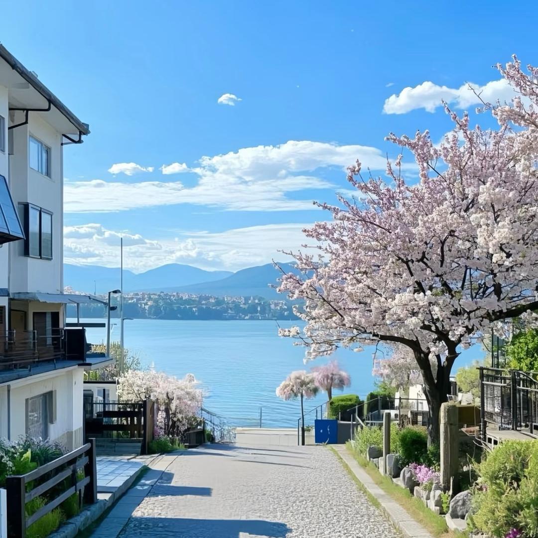 宅妹小云直播号