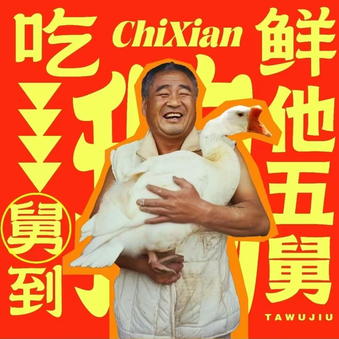 他五舅铁锅炖大鹅(公园南路店)官方号