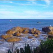 桉明欢商贸2直播号