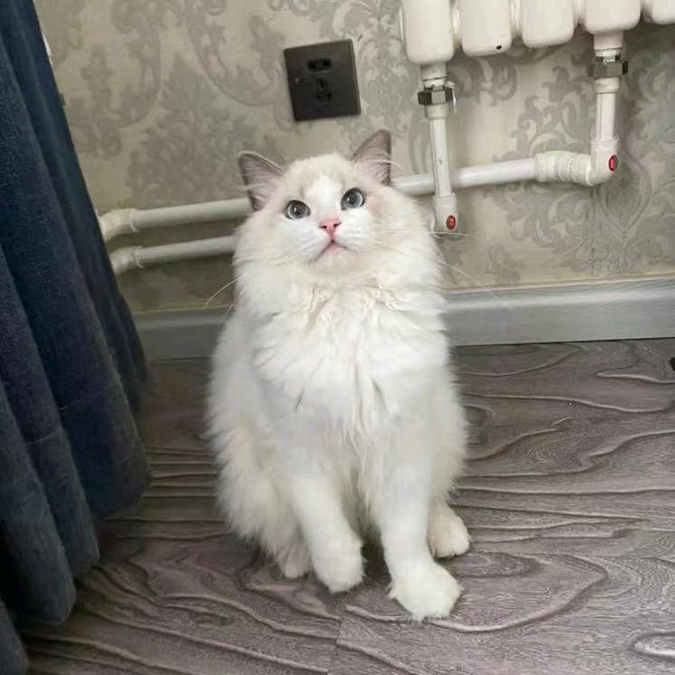 青城山  七月美甲  王莉