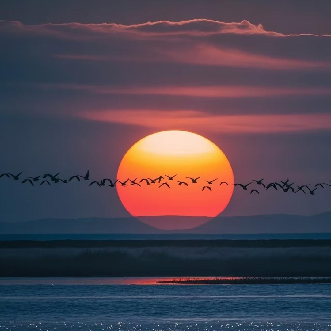 橙雨便利店官方号