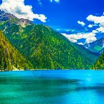 广州晔维运输官方直播号