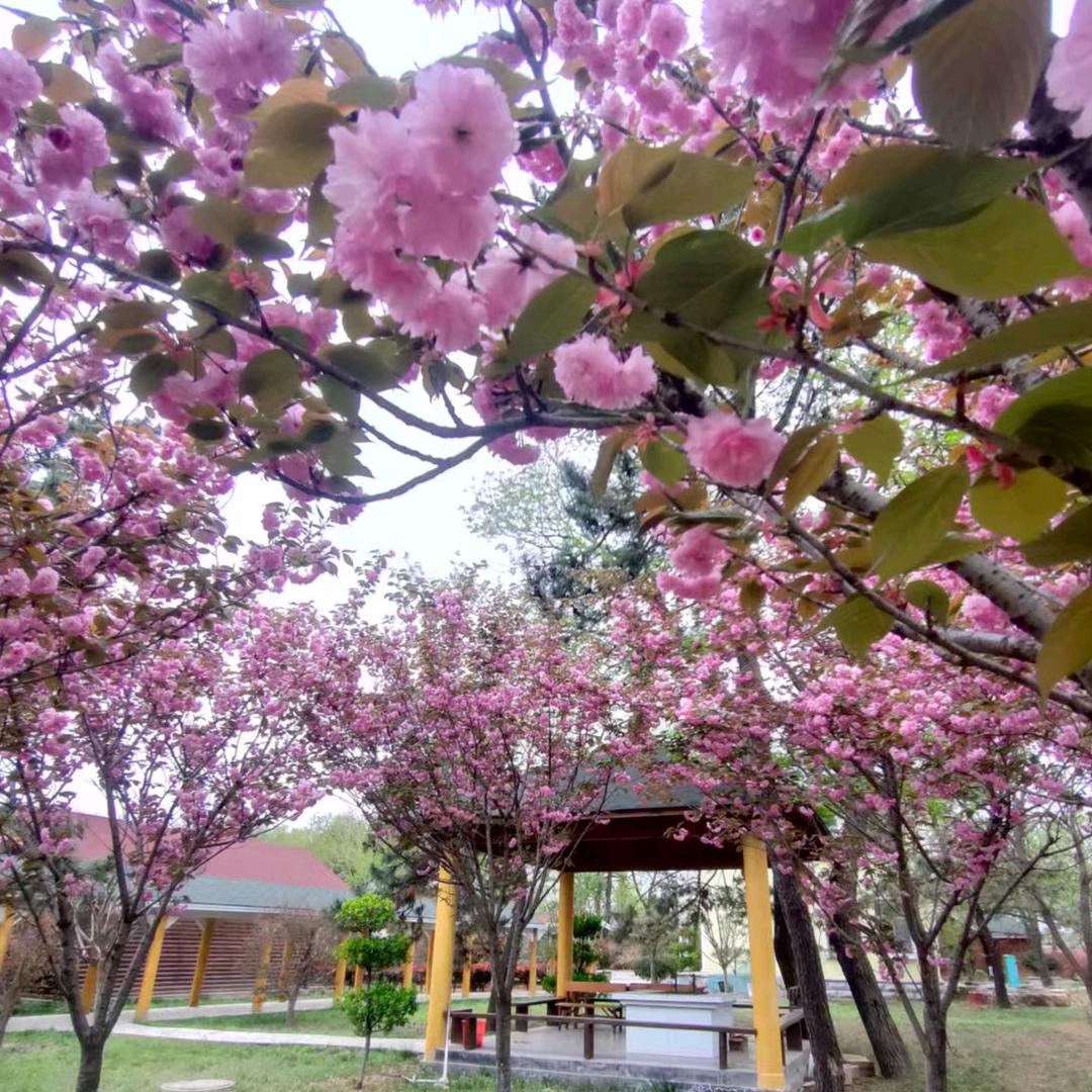 海阳市圣迪尔乐园