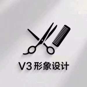 V3形象设计