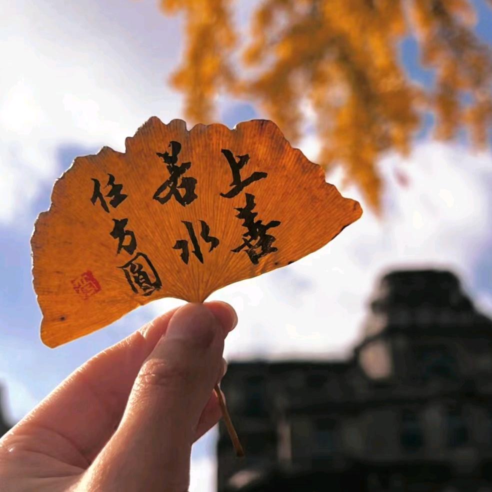 琅琊车友会