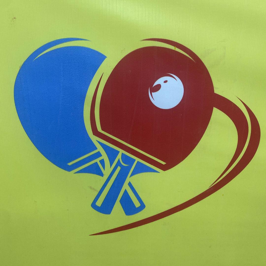 日照中奥乒乓球