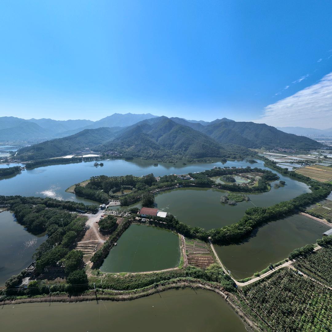 肇庆天湖鹭鸟天堂官方号