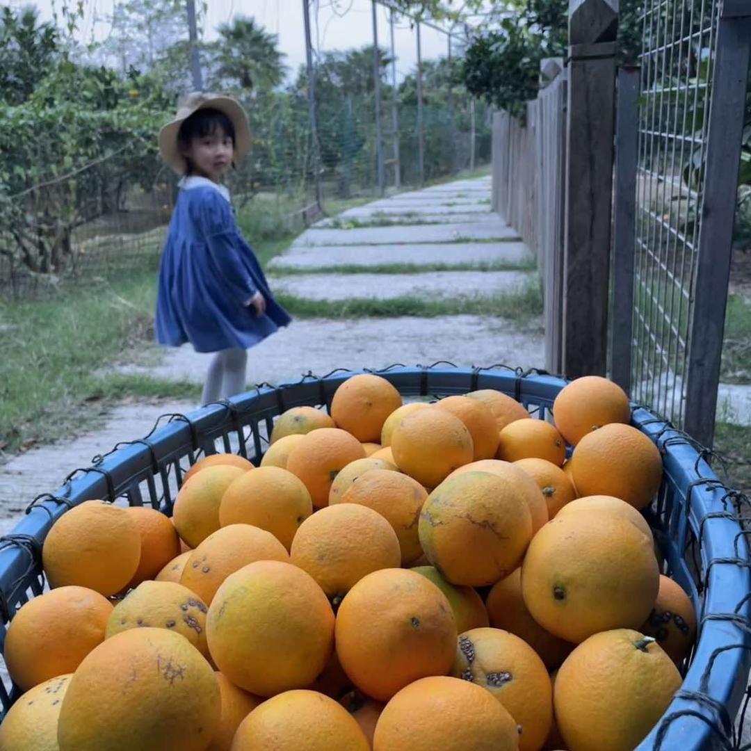 琅岐阡陌生态农场