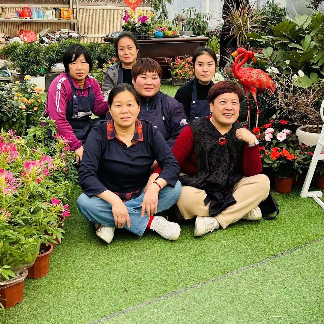 锦润达