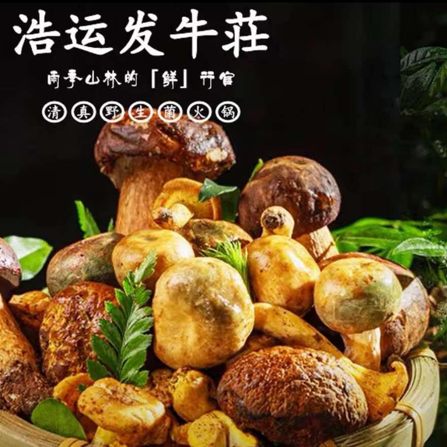 浩运发牛荘·清真火锅(东门坡店)官方号