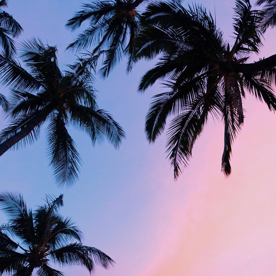 人人乐16直播号