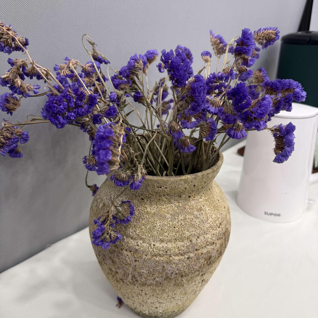 风铃轩·蜜富堂专用号