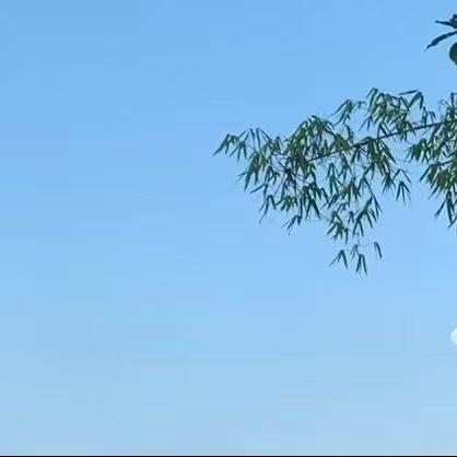 广州亨碧贸易有限公司