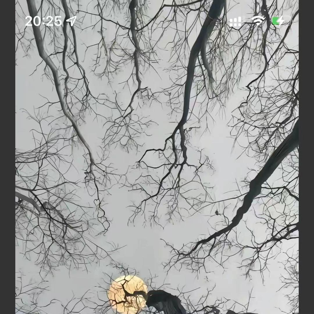 图浩达艺直播号