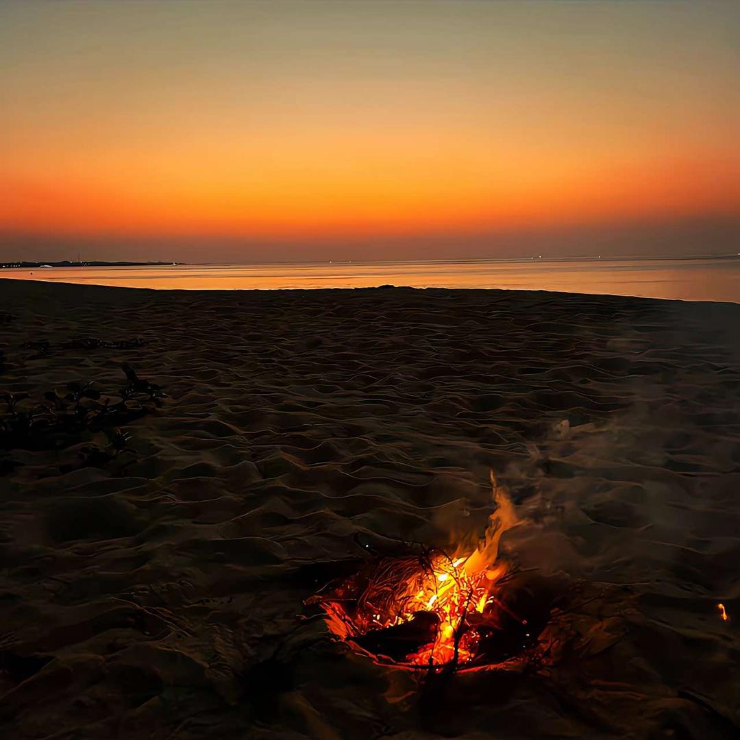 宏通物流2 直播号