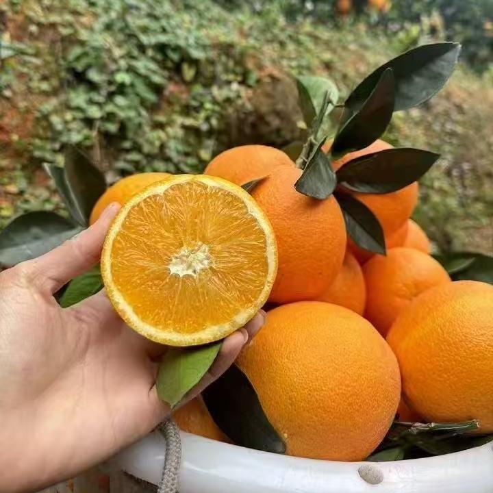 叵睦生活用品有限公司推广号