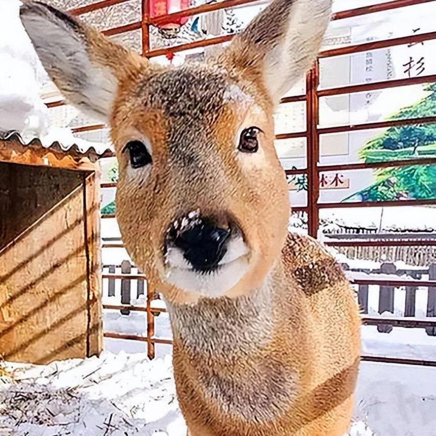 黑龙江省悠然之旅