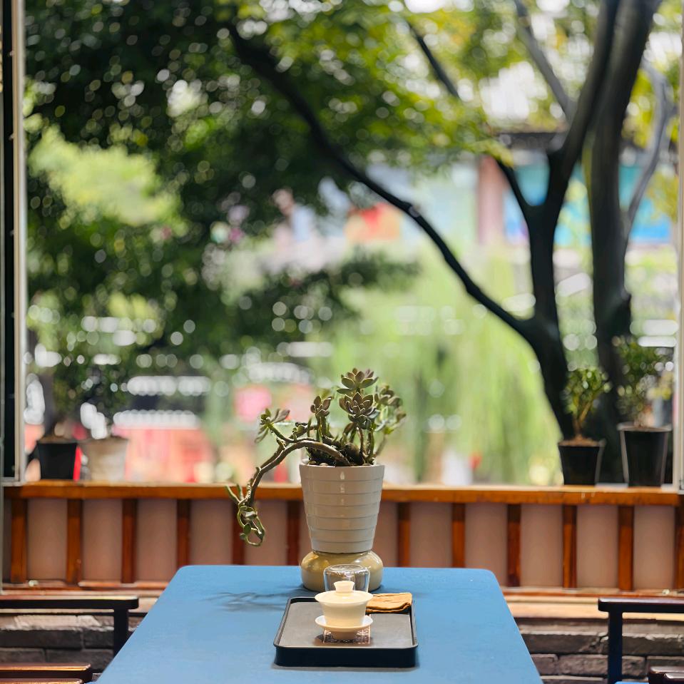 麓芸笙茶舍宠粉号