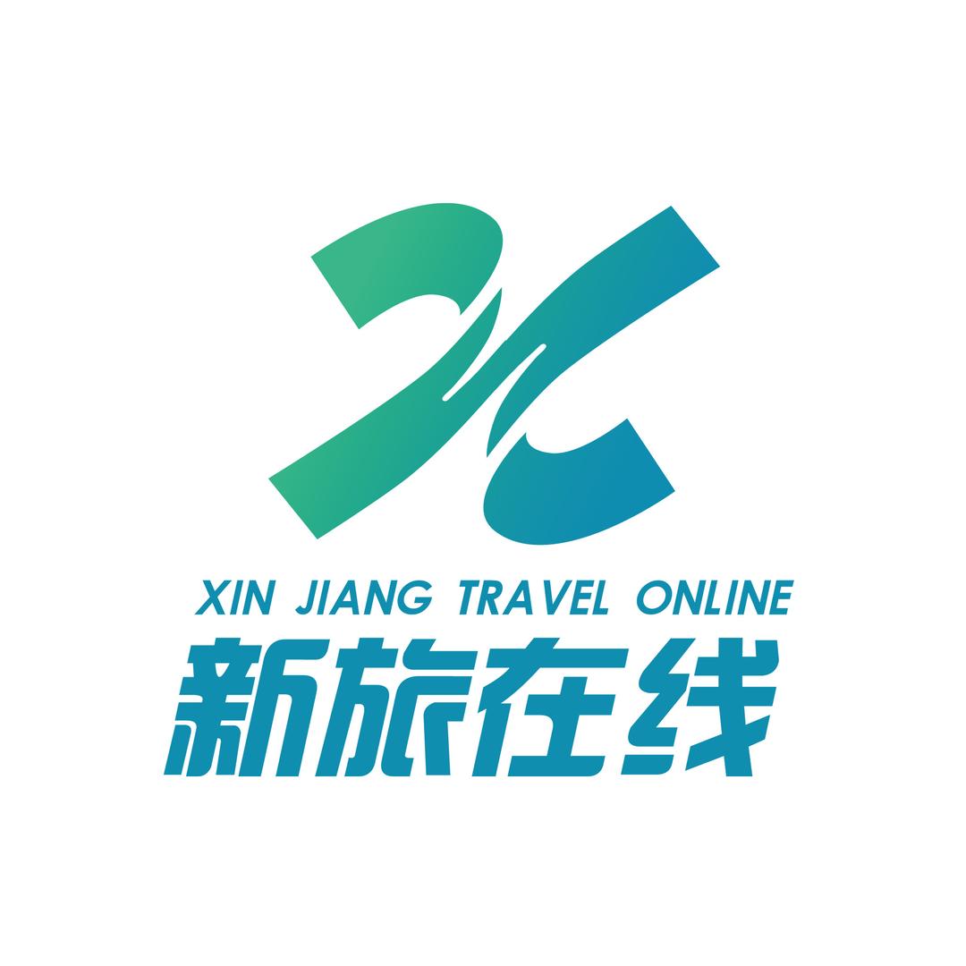 新疆新旅在线旅行社