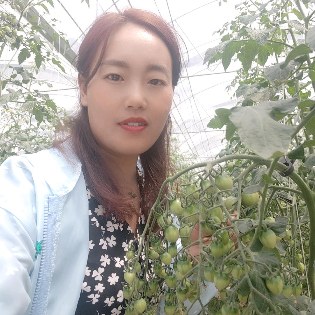 红坝子农场主