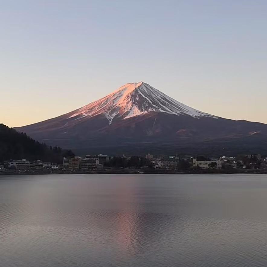 易言金道壹直播号