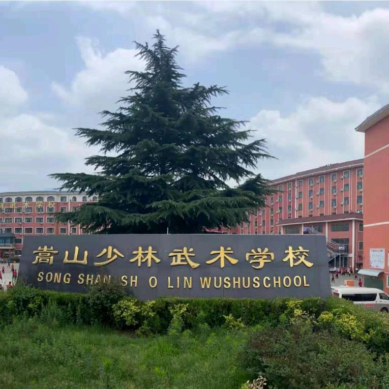 嵩山少林武术