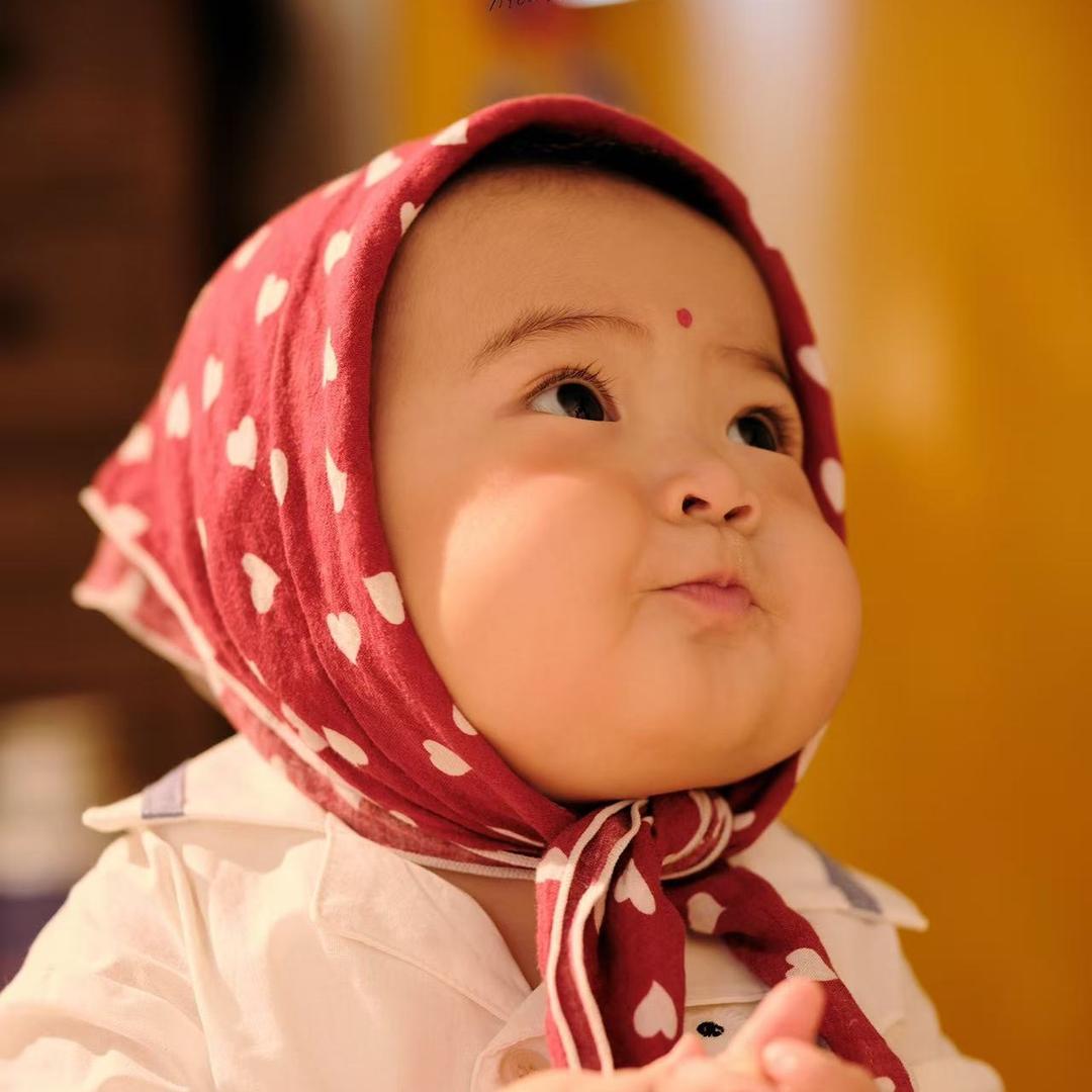 尼克熊儿童摄影(风度店)