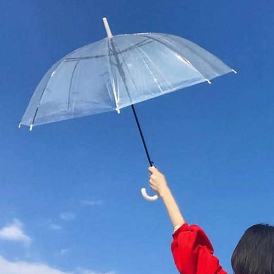 朝阳再任直播号