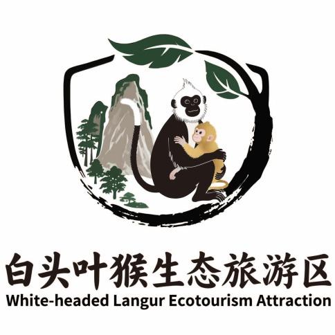 崇左千古花山白头叶猴景区