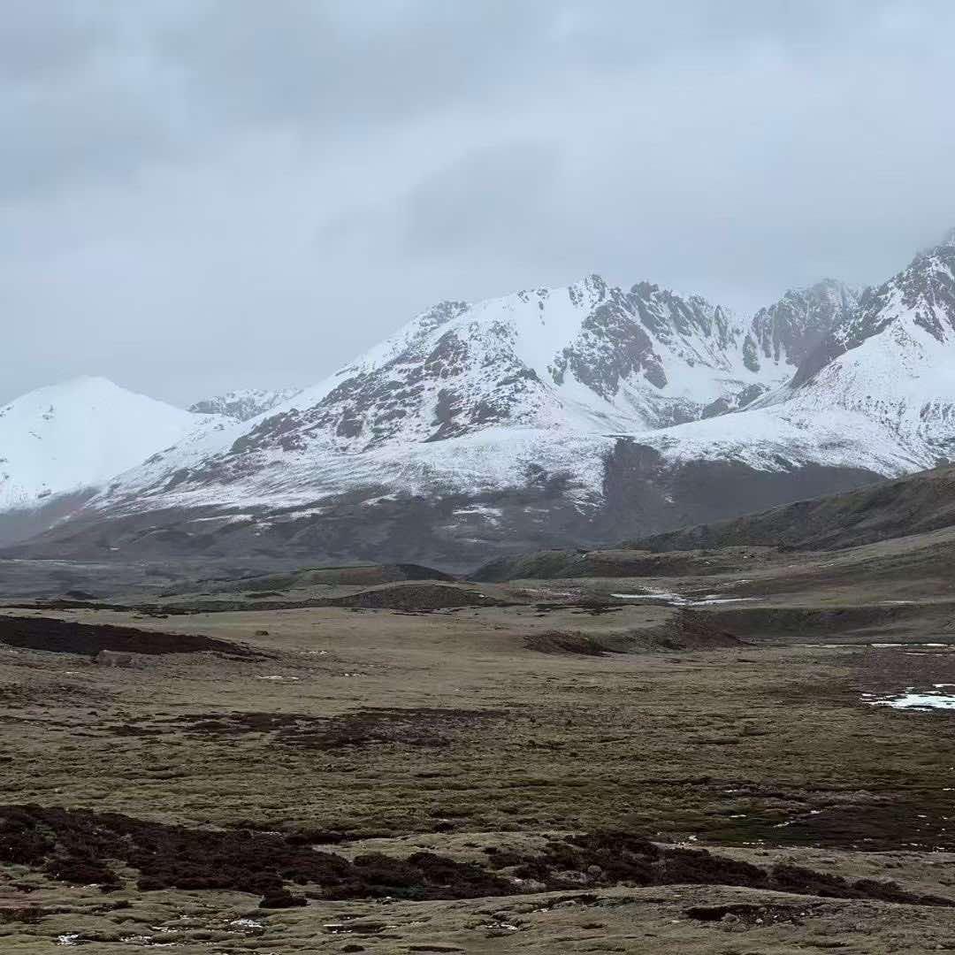 丹雪儿服装店-二宠粉号