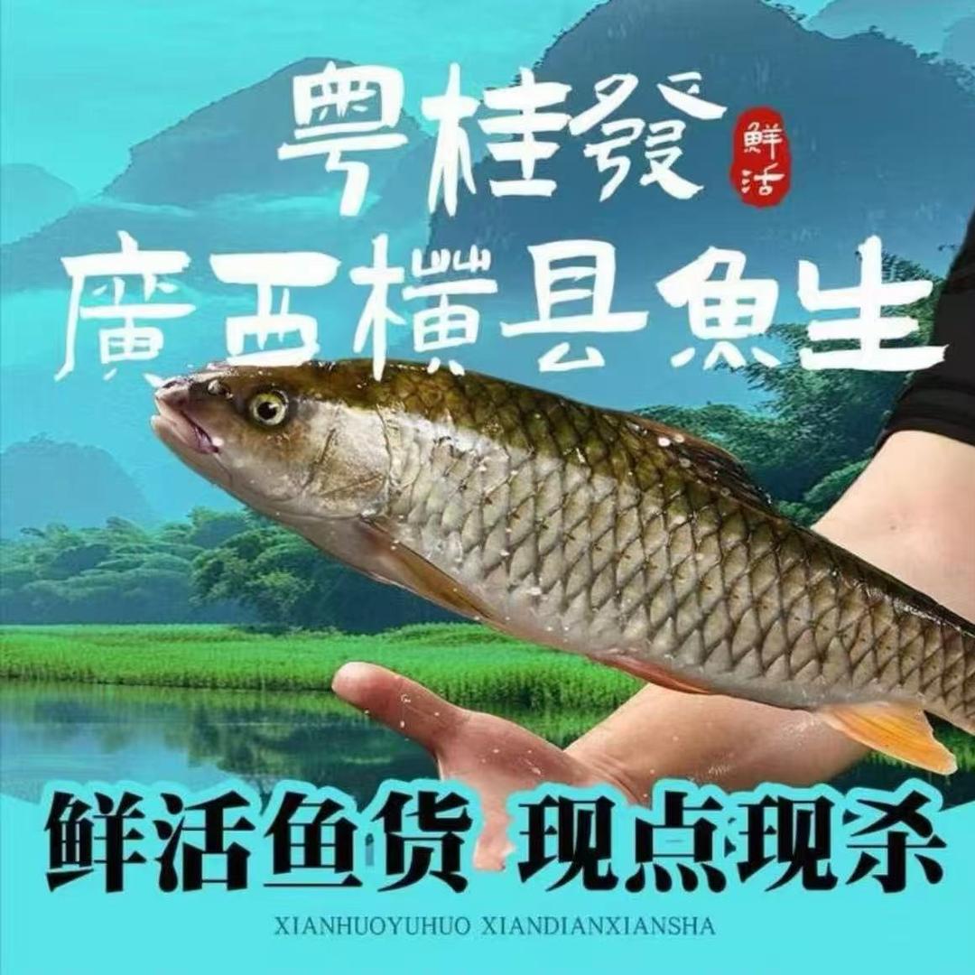 粤桂發广西横县鱼生（蚌埠2店）