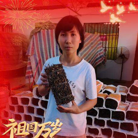 广西梅凤凉粉草百亩种植（梅凤六靖农家凉粉